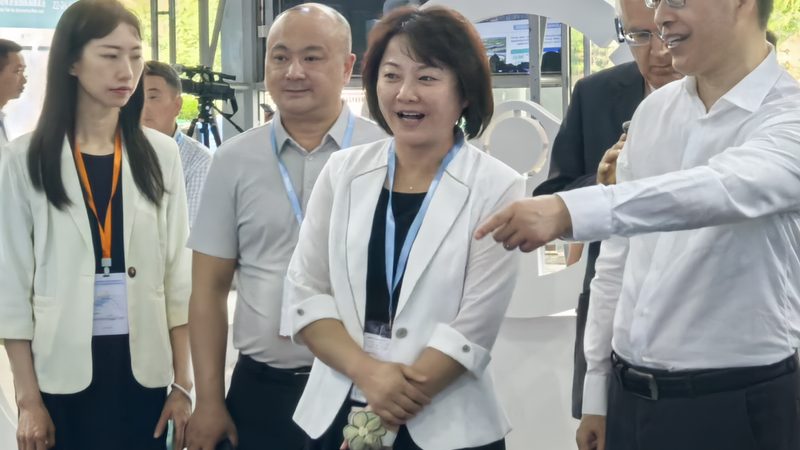 刹车片材质：耐磨背后的奥秘**